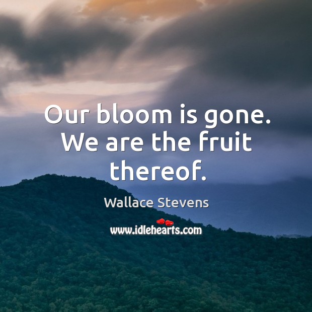 Our bloom is gone. We are the fruit thereof. Wallace Stevens Picture Quote