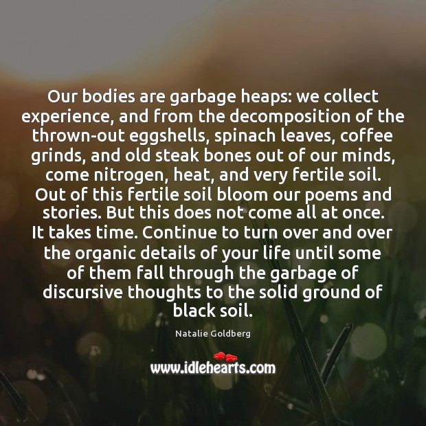 Our bodies are garbage heaps: we collect experience, and from the decomposition Natalie Goldberg Picture Quote