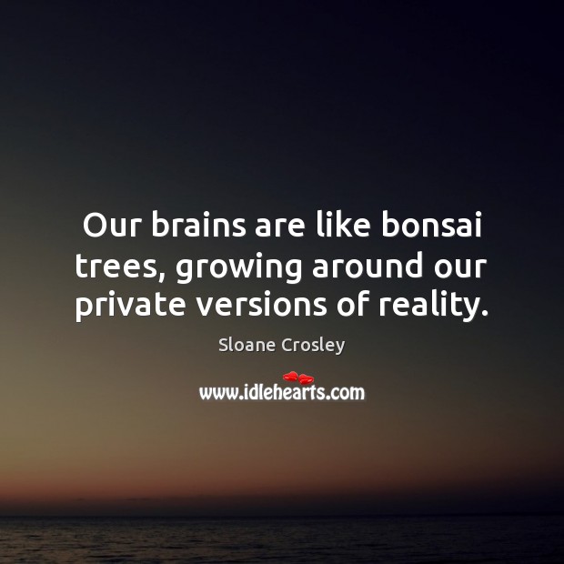 Our brains are like bonsai trees, growing around our private versions of reality. Reality Quotes Image