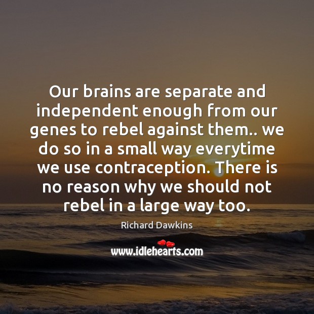 Our brains are separate and independent enough from our genes to rebel Richard Dawkins Picture Quote