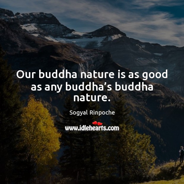 Our buddha nature is as good as any buddha’s buddha nature. Sogyal Rinpoche Picture Quote