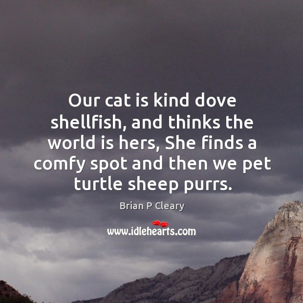 Our cat is kind dove shellfish, and thinks the world is hers, she finds a comfy spot Brian P Cleary Picture Quote
