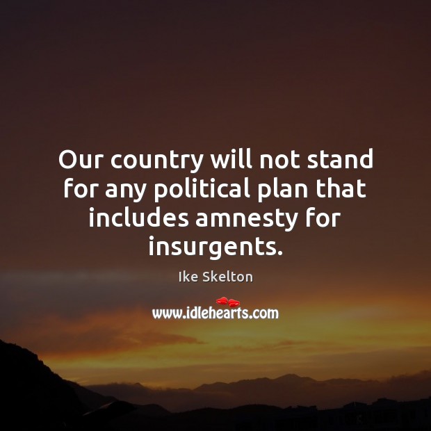 Our country will not stand for any political plan that includes amnesty for insurgents. Plan Quotes Image