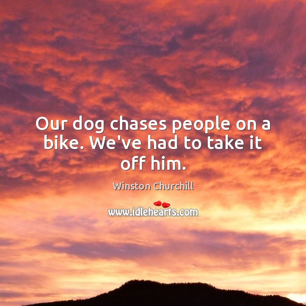 Our dog chases people on a bike. We’ve had to take it off him. Image