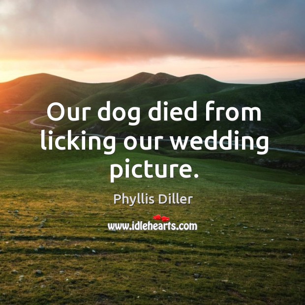 Our dog died from licking our wedding picture. Phyllis Diller Picture Quote