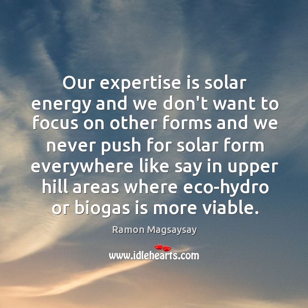 Our expertise is solar energy and we don’t want to focus on Ramon Magsaysay Picture Quote