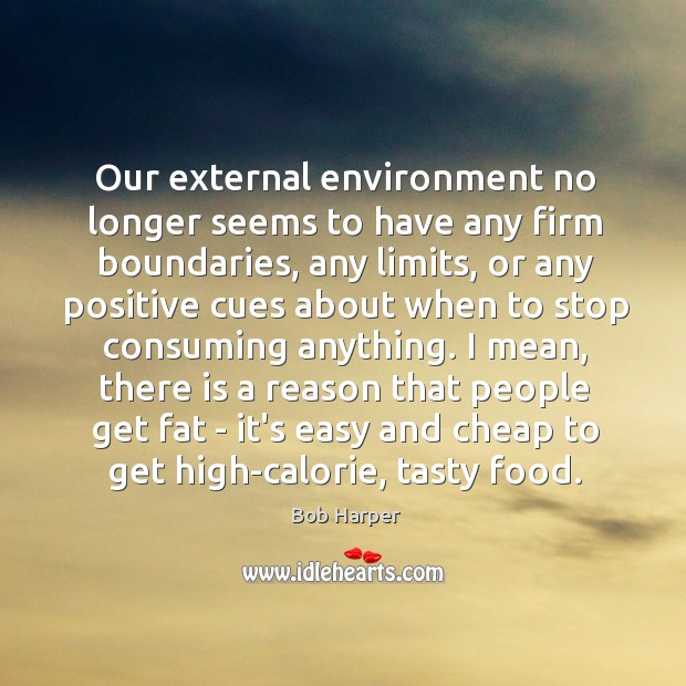 Our external environment no longer seems to have any firm boundaries, any Bob Harper Picture Quote