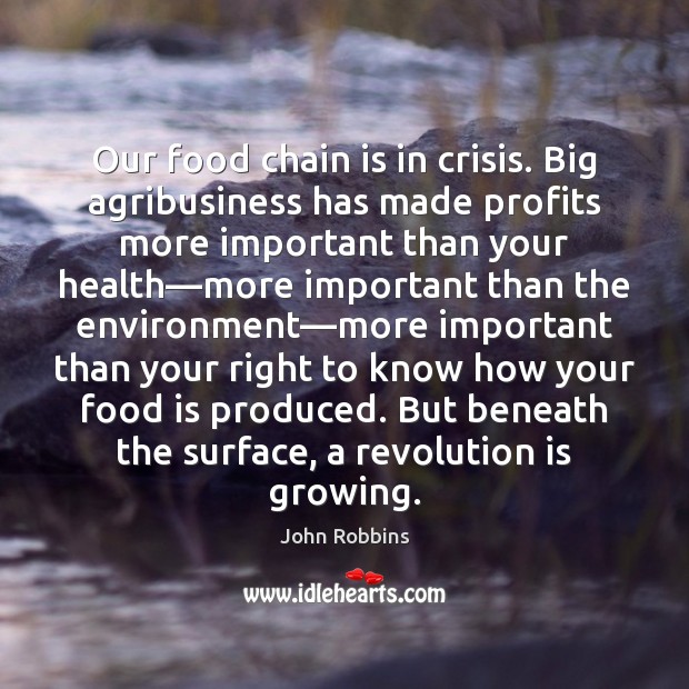 Our food chain is in crisis. Big agribusiness has made profits more John Robbins Picture Quote