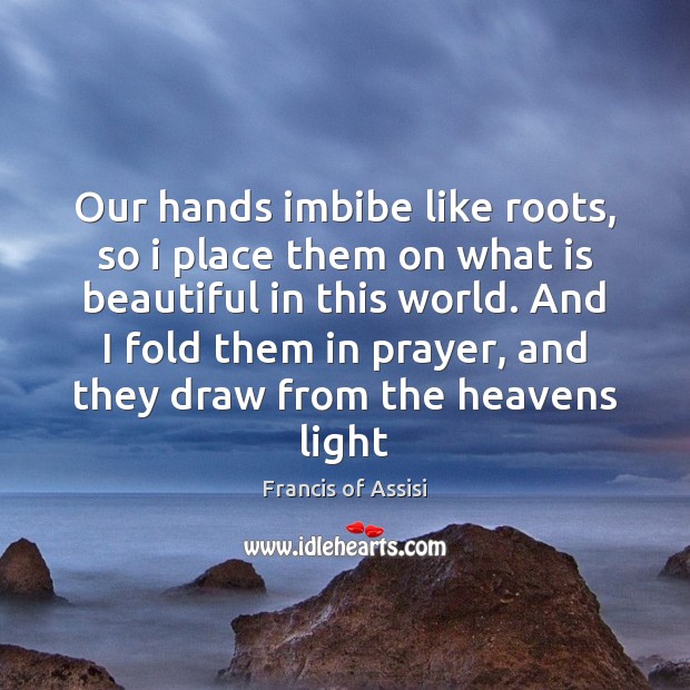 Our hands imbibe like roots, so i place them on what is Francis of Assisi Picture Quote
