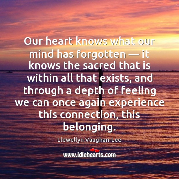 Our heart knows what our mind has forgotten — it knows the sacred Llewellyn Vaughan-Lee Picture Quote