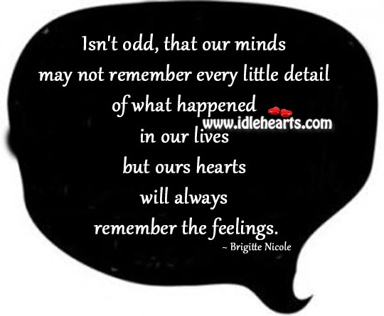 Our minds may not remember every little detail Brigitte Nicole Picture Quote