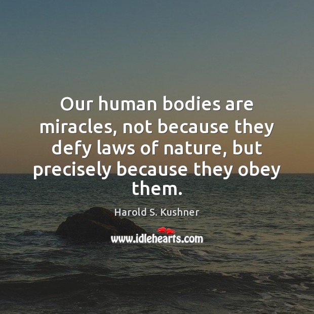Our human bodies are miracles, not because they defy laws of nature, Harold S. Kushner Picture Quote
