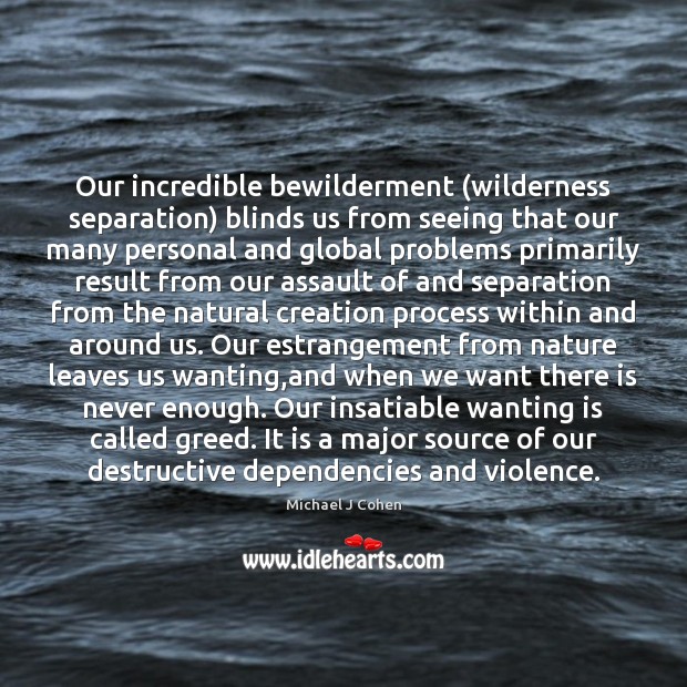 Our incredible bewilderment (wilderness separation) blinds us from seeing that our many Image