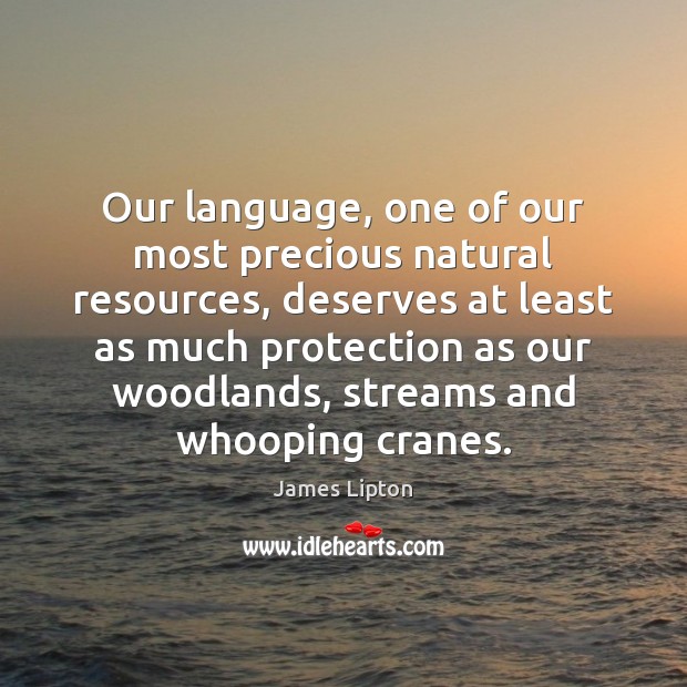 Our language, one of our most precious natural resources, deserves at least James Lipton Picture Quote