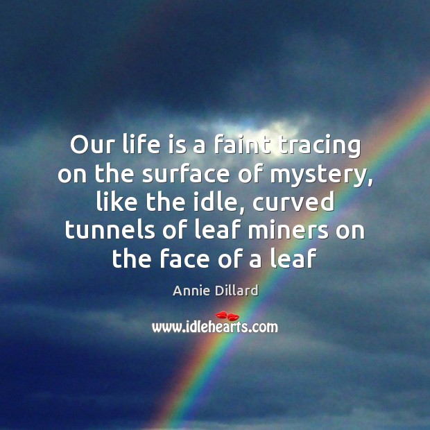 Our life is a faint tracing on the surface of mystery, like Annie Dillard Picture Quote