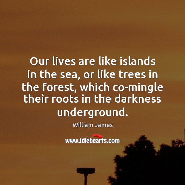 Our lives are like islands in the sea, or like trees in William James Picture Quote