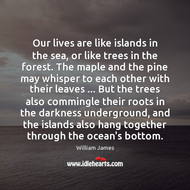 Our lives are like islands in the sea, or like trees in Image