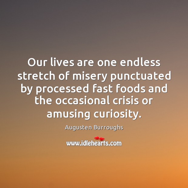 Our lives are one endless stretch of misery punctuated by processed fast Augusten Burroughs Picture Quote