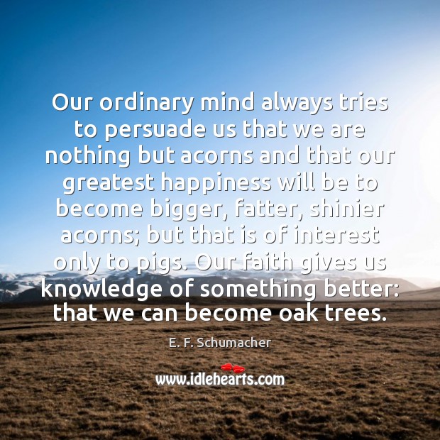 Our ordinary mind always tries to persuade us that we are nothing E. F. Schumacher Picture Quote