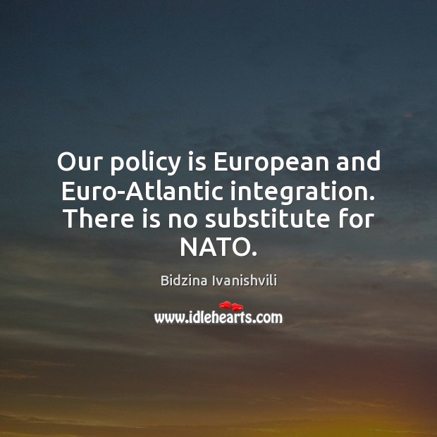 Our policy is European and Euro-Atlantic integration. There is no substitute for NATO. Image