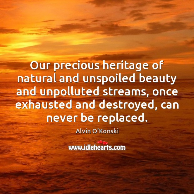 Our precious heritage of natural and unspoiled beauty and unpolluted streams, once Image
