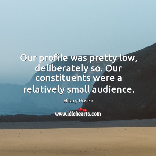 Our profile was pretty low, deliberately so. Our constituents were a relatively small audience. Hilary Rosen Picture Quote