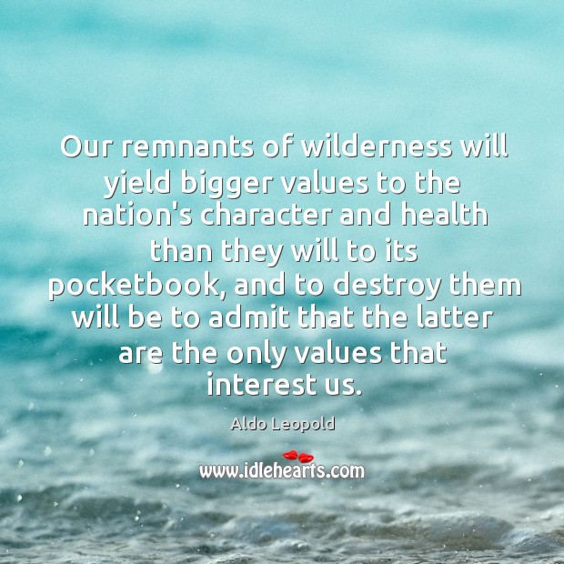 Our remnants of wilderness will yield bigger values to the nation’s character Aldo Leopold Picture Quote