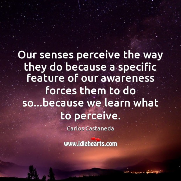 Our senses perceive the way they do because a specific feature of Carlos Castaneda Picture Quote