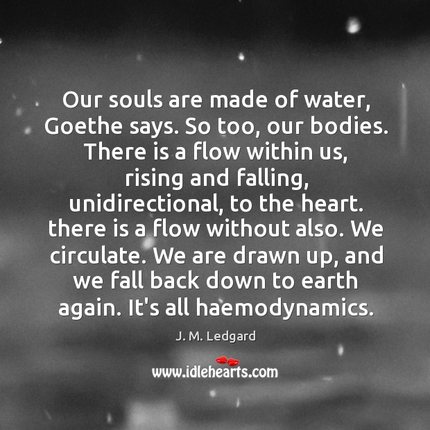 Our souls are made of water, Goethe says. So too, our bodies. J. M. Ledgard Picture Quote