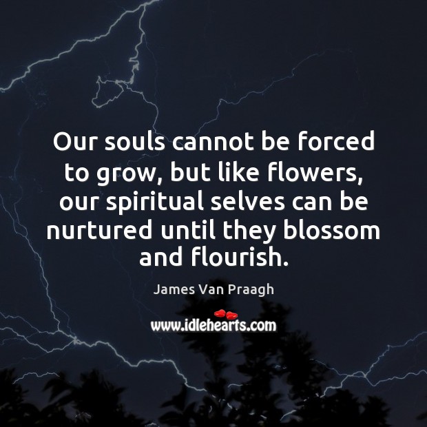 Our souls cannot be forced to grow, but like flowers, our spiritual James Van Praagh Picture Quote