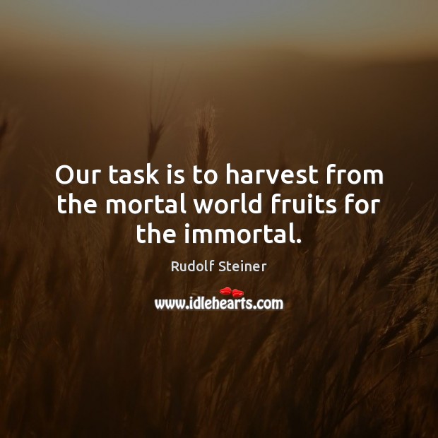 Our task is to harvest from the mortal world fruits for the immortal. Rudolf Steiner Picture Quote
