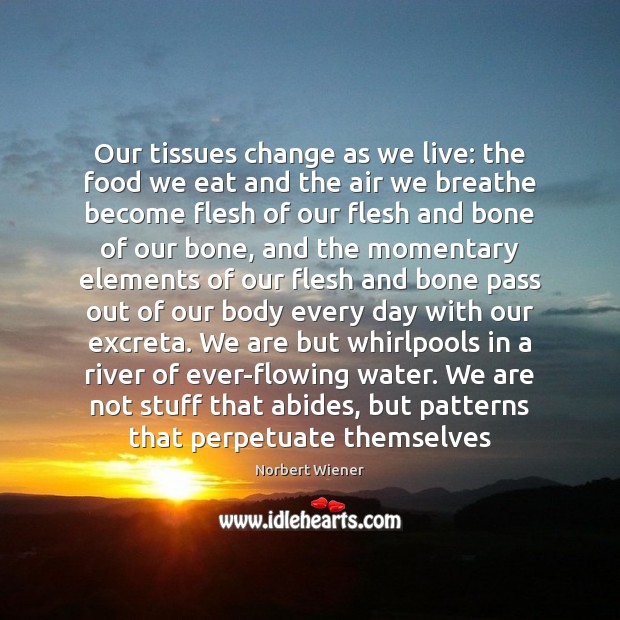 Our tissues change as we live: the food we eat and the Norbert Wiener Picture Quote