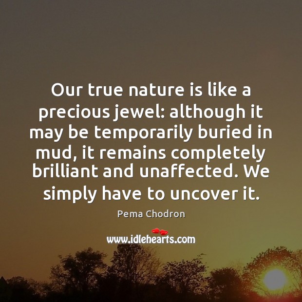 Our true nature is like a precious jewel: although it may be Pema Chodron Picture Quote