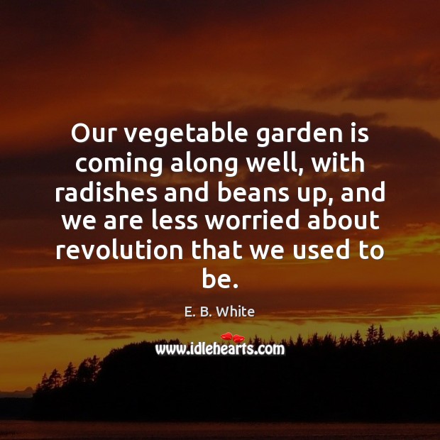 Our vegetable garden is coming along well, with radishes and beans up, E. B. White Picture Quote