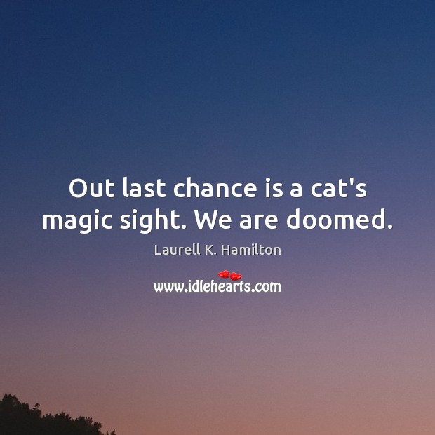 Out last chance is a cat’s magic sight. We are doomed. Chance Quotes Image