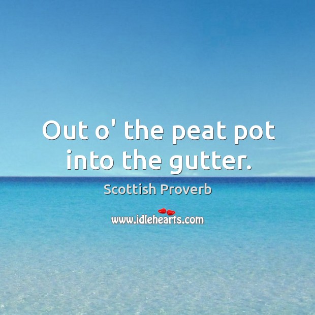 Out o’ the peat pot into the gutter. Image