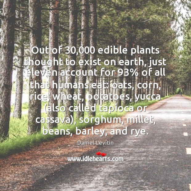 Out of 30,000 edible plants thought to exist on earth, just eleven account Image