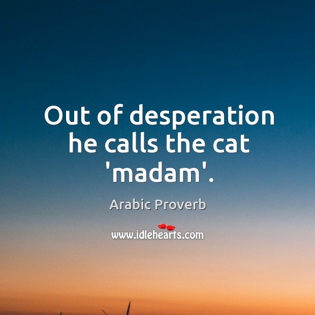 Out of desperation he calls the cat ‘madam’. Arabic Proverbs Image
