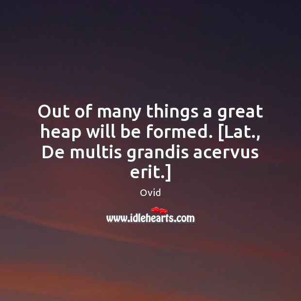 Out of many things a great heap will be formed. [Lat., De multis grandis acervus erit.] Ovid Picture Quote