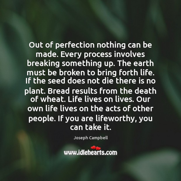 Out of perfection nothing can be made. Every process involves breaking something Joseph Campbell Picture Quote