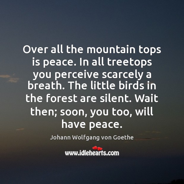 Over all the mountain tops is peace. In all treetops you perceive Image