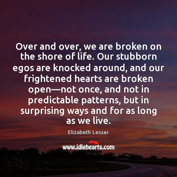 Over and over, we are broken on the shore of life. Our Elizabeth Lesser Picture Quote