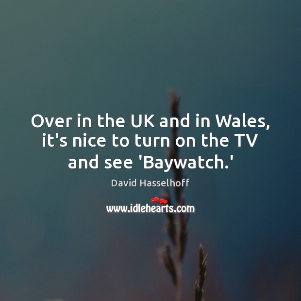 Over in the UK and in Wales, it’s nice to turn on the TV and see ‘Baywatch.’ David Hasselhoff Picture Quote
