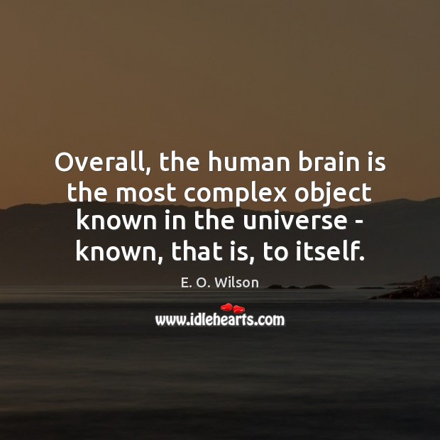 Overall, the human brain is the most complex object known in the Image