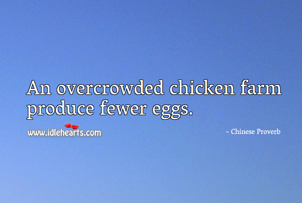 An overcrowded chicken farm produce fewer eggs. Chinese Proverbs Image