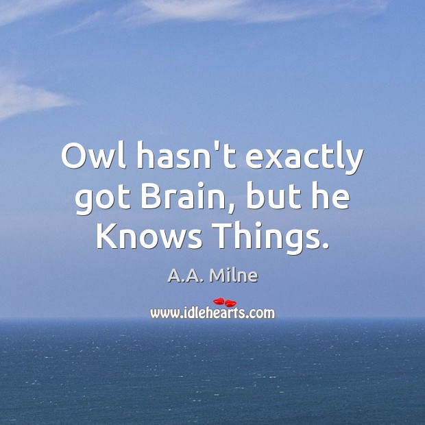 Owl hasn’t exactly got Brain, but he Knows Things. Image