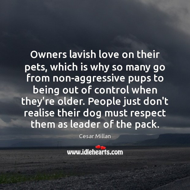 Owners lavish love on their pets, which is why so many go Cesar Millan Picture Quote