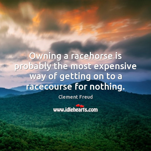 Owning a racehorse is probably the most expensive way of getting on Image