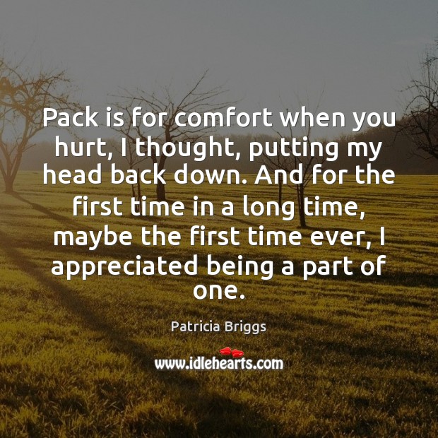 Pack is for comfort when you hurt, I thought, putting my head Image