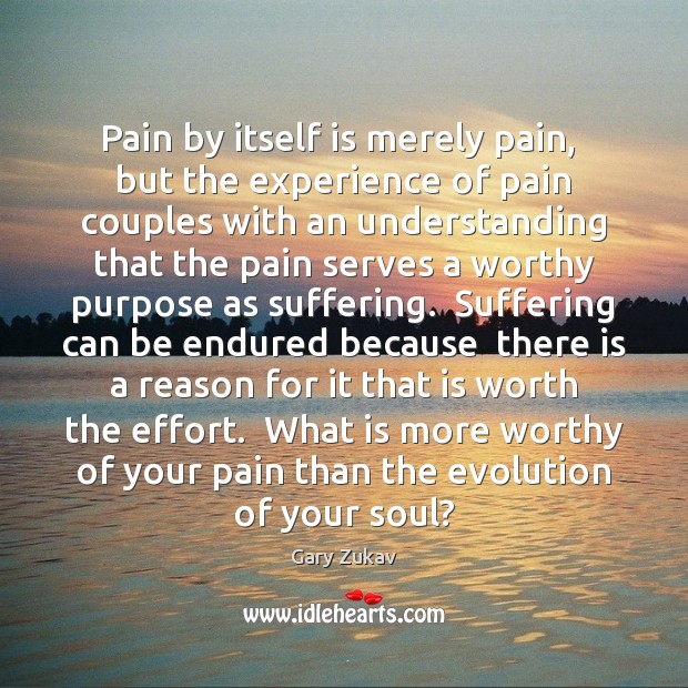 Pain by itself is merely pain,  but the experience of pain couples Gary Zukav Picture Quote